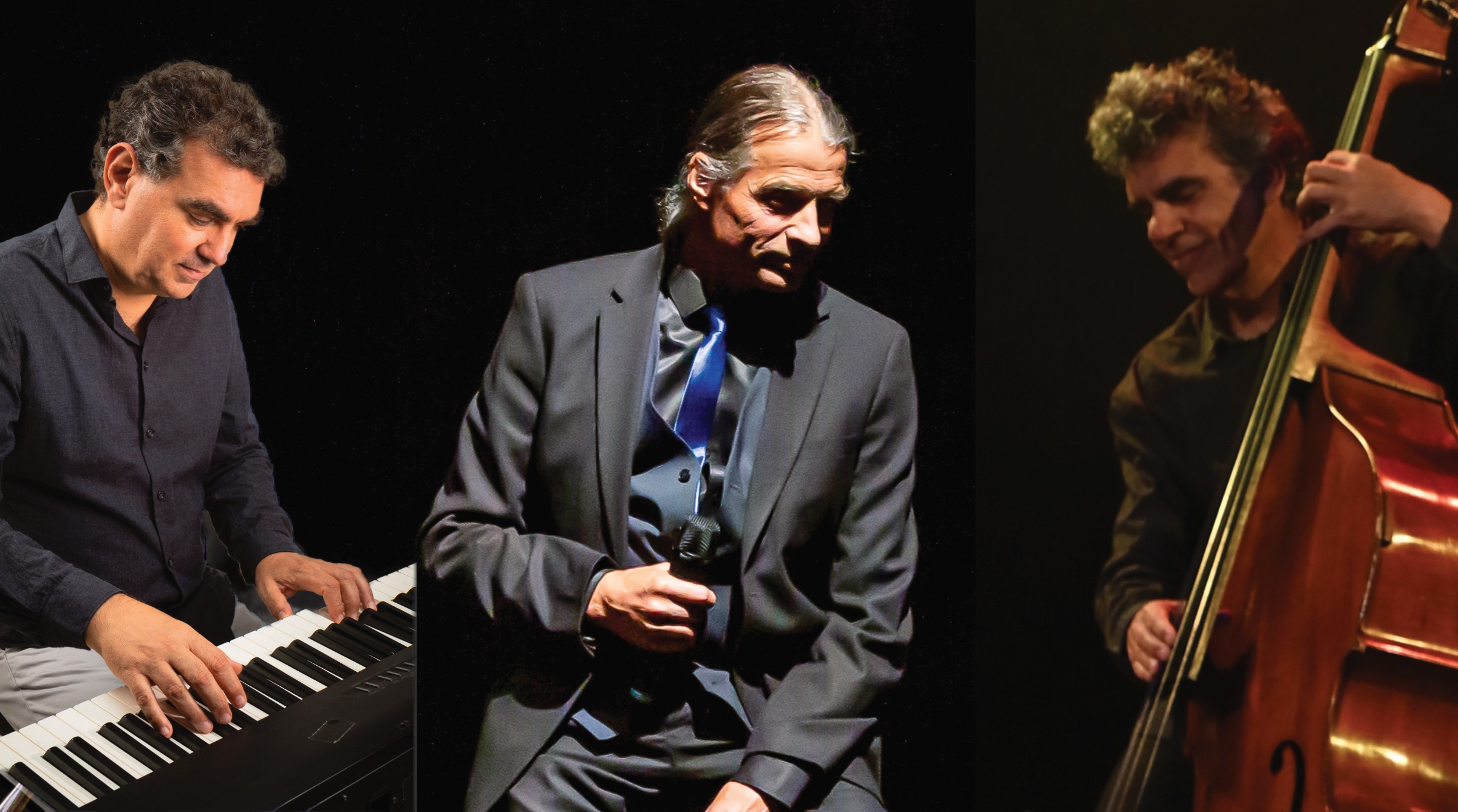 au festival des lavandes 2023